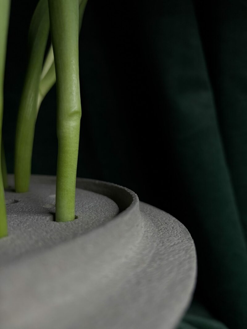 ONA V – Image 3