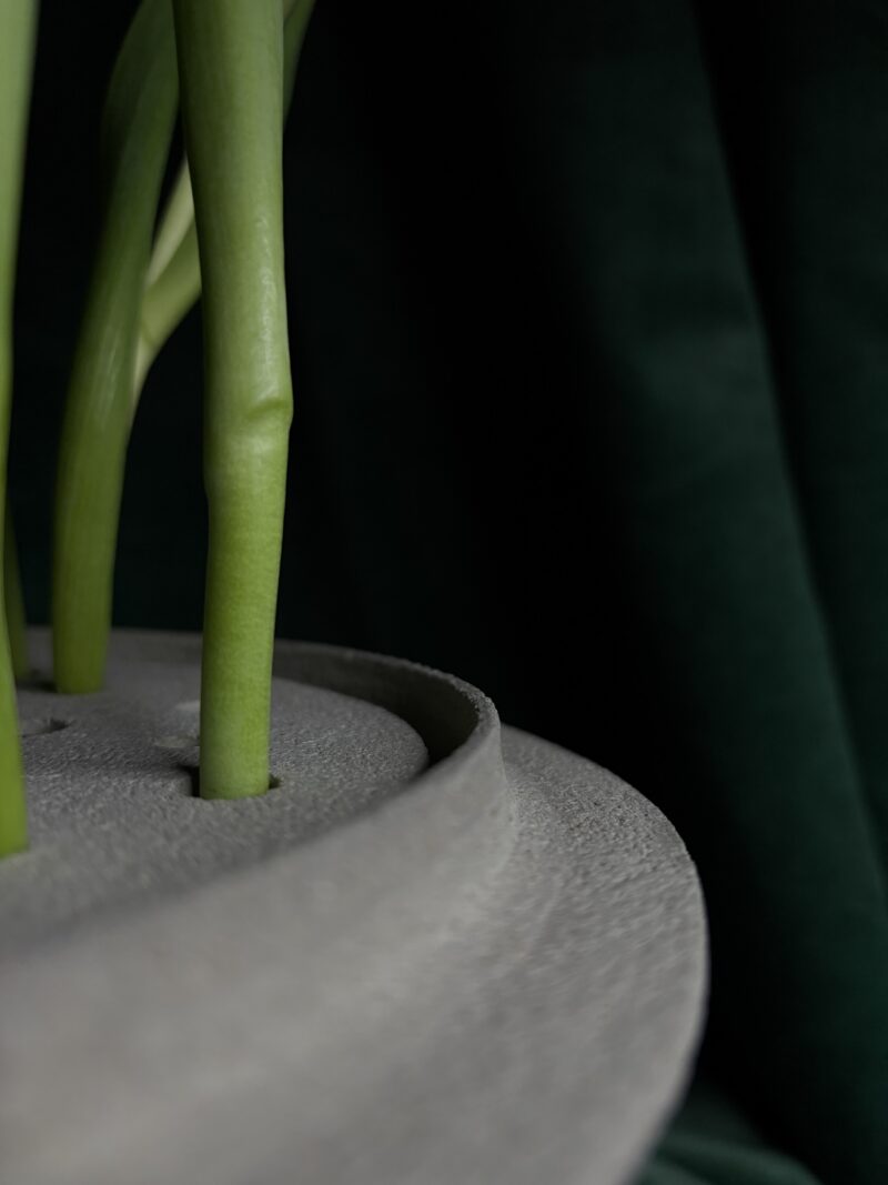 ONA V – Image 3